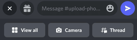 camera icon Discord