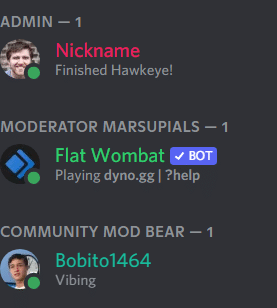 Other users in a Discord server can view your custom message on the members bar