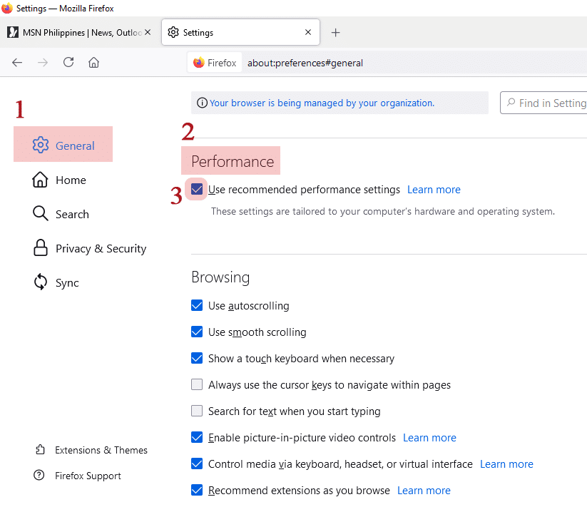 Click on the 'General' menu and scroll down until you find 'Performance'