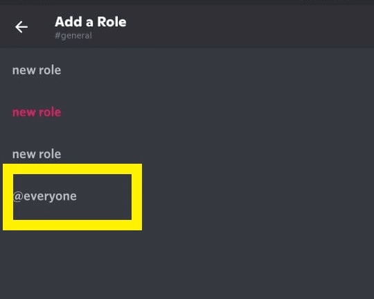 Select the @everyone role from the options