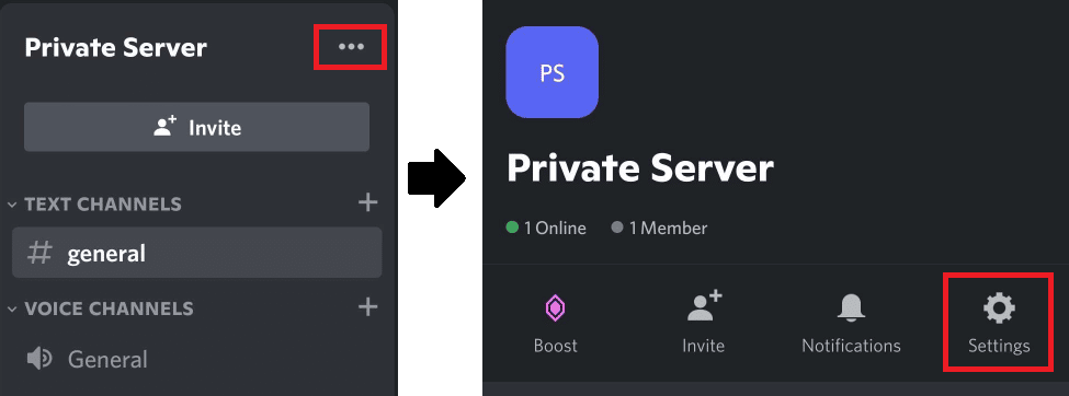 private server discord