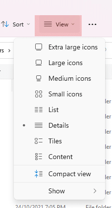 Click on the View tab on the navigation menu at the top panel on the File Explorer