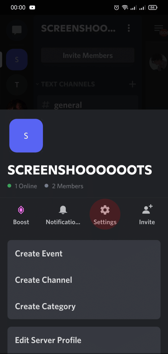 Tap on the gear icon or the server settings