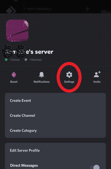 server settings on Discord mobile