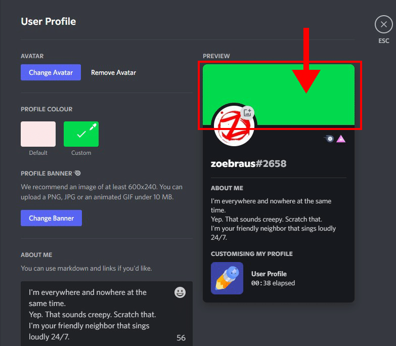 discord user profile preview