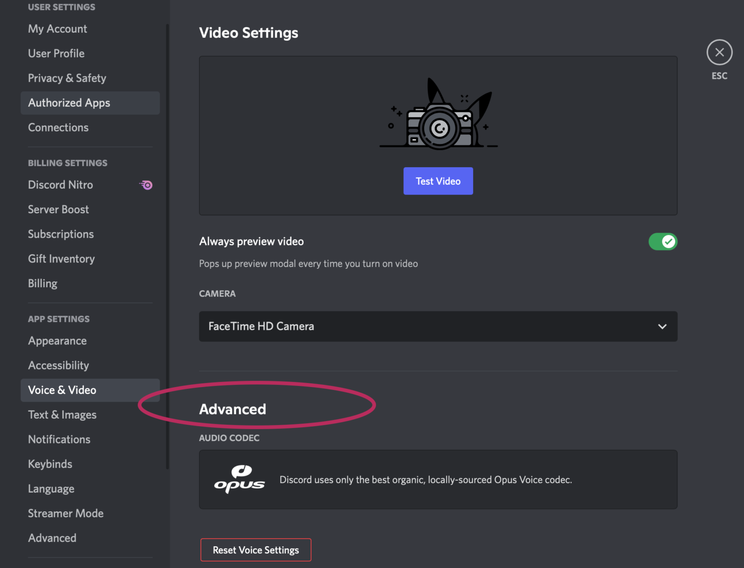 discord voice and video advanced