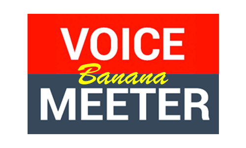 VoiceMeeter Banana Logo
