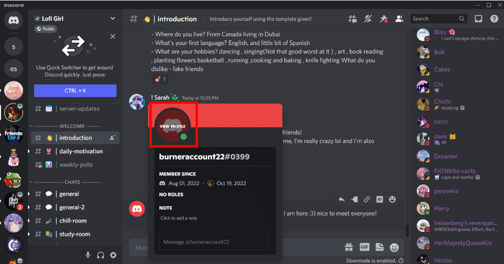 Viewing profile of a user on Discord.