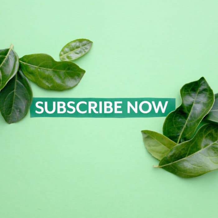 Subscribe now on a mint green background with leaves